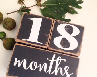 Vintage Inspired Wood Custom Baby Age Blocks in White- Unique Gift for Baby and PERFECT for taking great pictures!