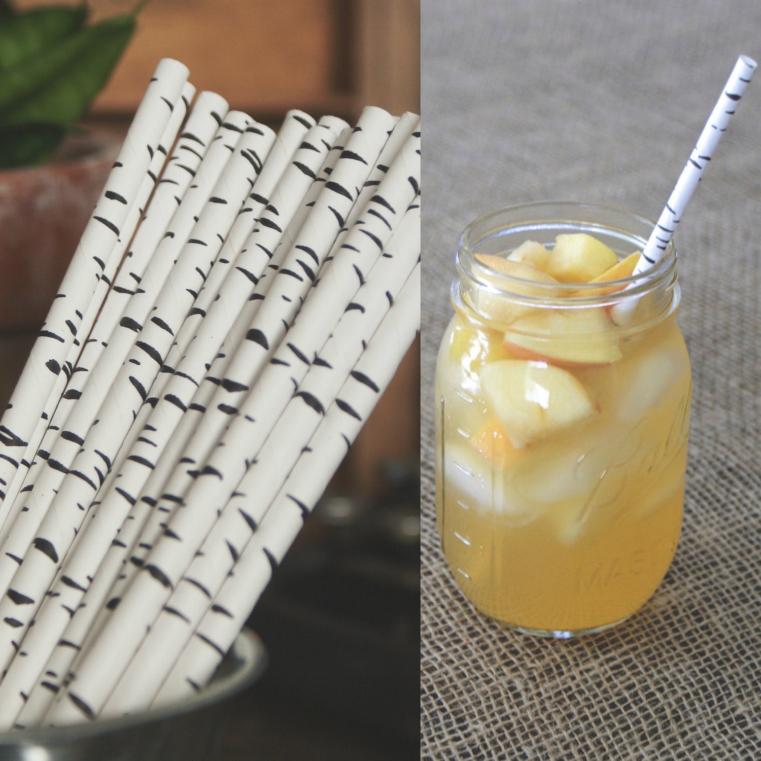 Birch Tree Paper Straws Set of 20