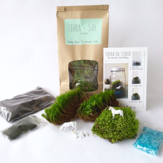 DIY Terrarium Kit Medium Moss Terrarium by TierraSolStudio