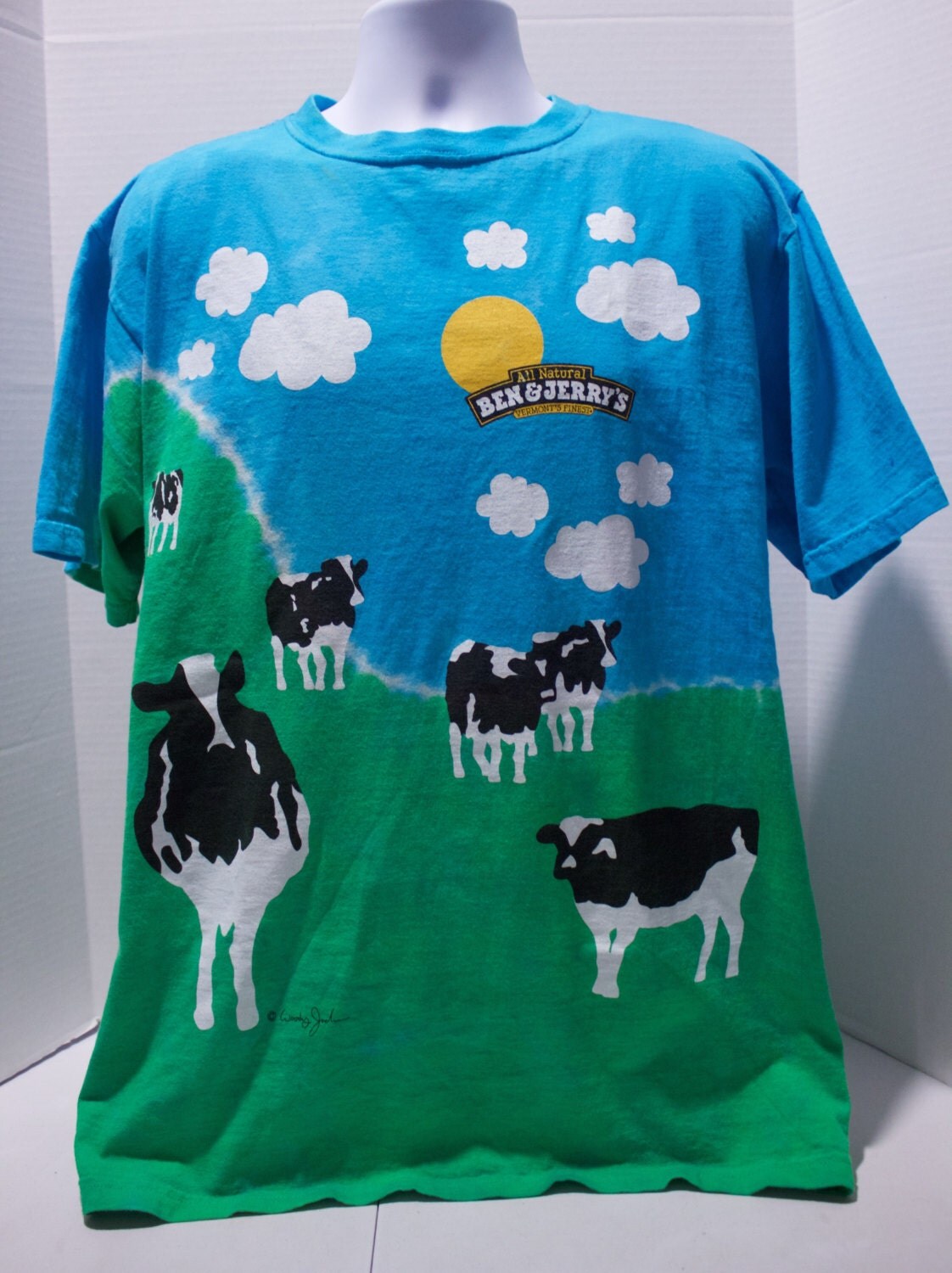 ben and jerry's tie dye shirt instructions