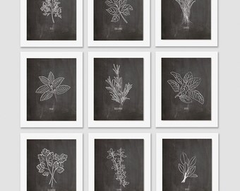 herb art print set, kitchen art, herb print, kitchen decor, dining room art, botanical print, herb illustration, gift for a foodie, food art