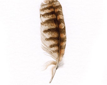 Great Horned Owl Feather – ORIGINAL painting