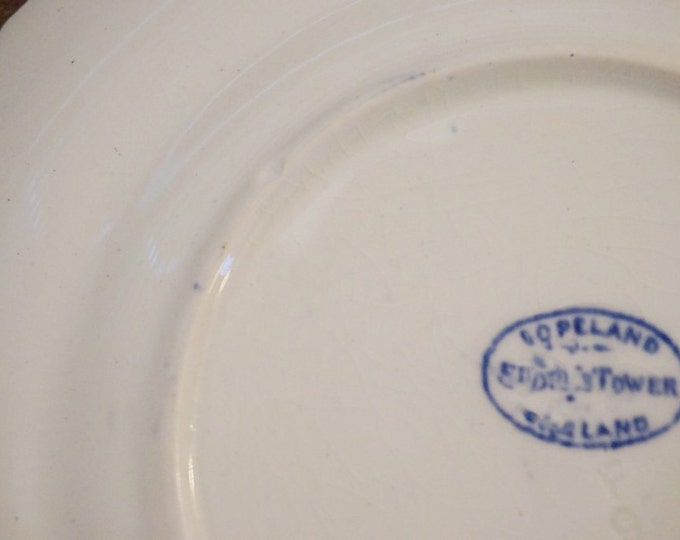 Copeland Dishes - 1890s