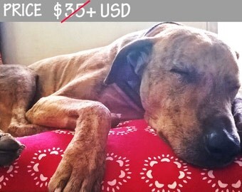 SALE durable Organic Cotton canvas dog bed cover/envelope back throw pillow cover