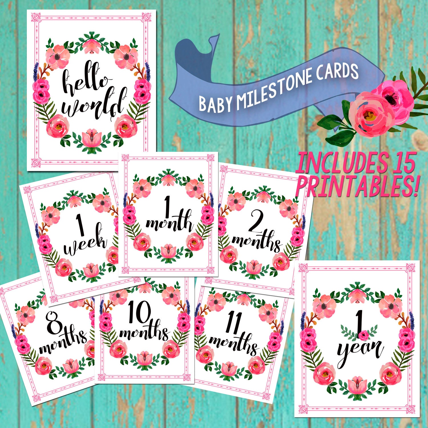 15 Printable Baby Monthly Milestone Cards by shedhuntingbabez