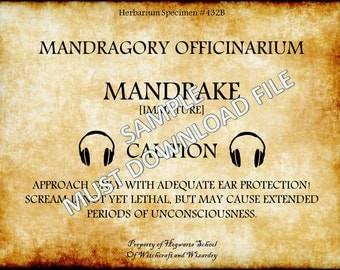 Mandrake Baby Sign for Costumes Halloween by MamaSzachacz on Etsy