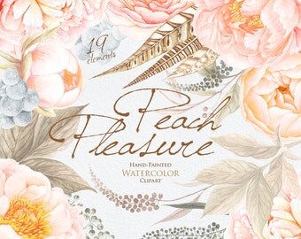 Wedding Watercolor Clipart, Peach Peonies, Roses Flowers, Feathers, Hand painted clip art, floral invitations, greeting card, DIY elements