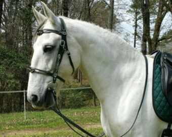 Celtic knot bridle with embossing and hand painted detailing