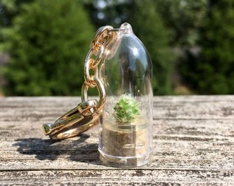 Live Cactus KeyChain / Mini Cactus Terrarium KeyChain/ Miniature Terrarium / Nature Jewelry Necklace