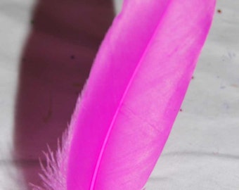 Bright Fuchsia Pink Quill Craft Feathers