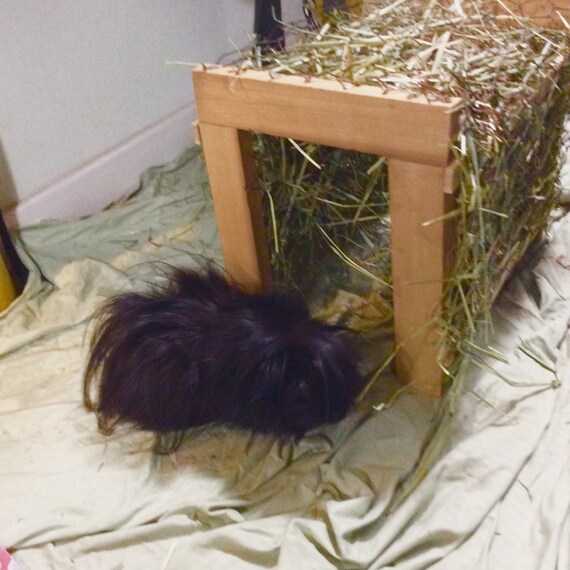 Items similar to Hay Rack Guinea Pig and all Small Animals Hay