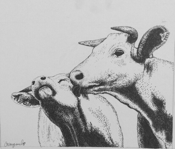 Cow Pen and Ink Drawing by ClaireWayandDesign on Etsy