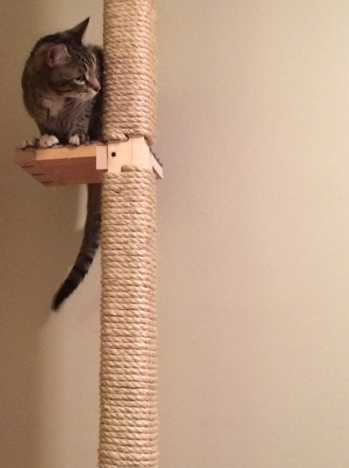 Cat Pole Landing. An optional accessory for The Cat Pole.