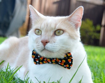 Halloween cat bow tie, Halloween cat collar, Halloween costume for cat, Candy corn cat collar, cat bow tie, Cat collar, kitten collar,