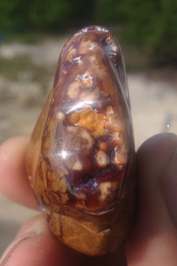 Large Premium Polished Jasper