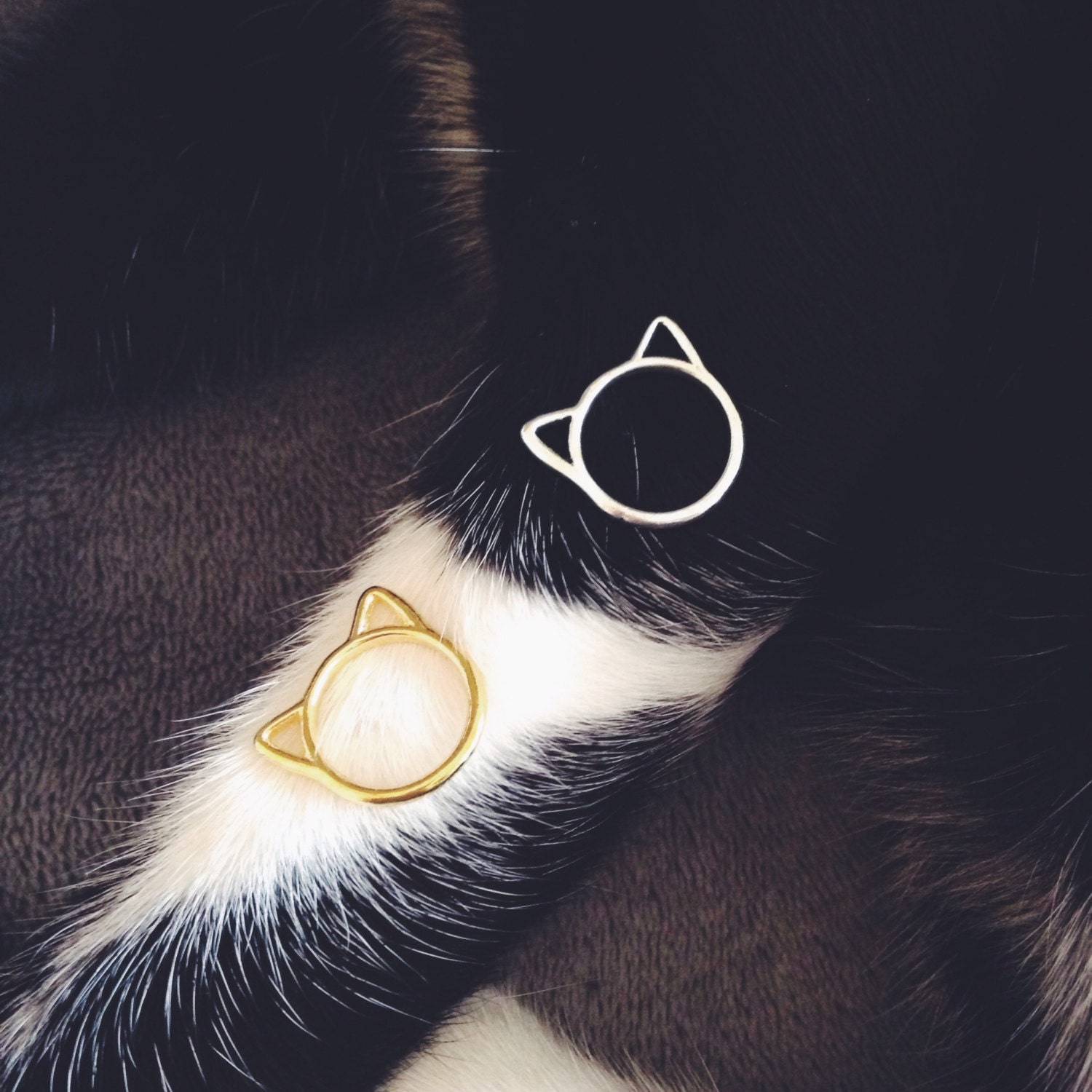 Phalanx cat ring