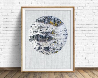 nature photography, large art, large wall art, instant download, printable art, art print, abstract, decor, wall art, gray -"Birch Tree"