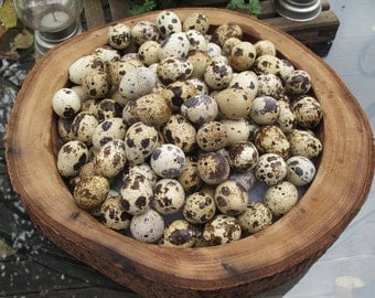 Ready to ship 100 Blown Quail Eggs w/ 1 Hole. From Happy Free Range Quails :-)