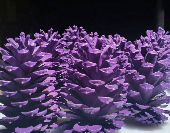 12 Purple Pine Cones Hand Painted All Natural Premium Quality   Il 570xN.1012210829 Emp7 