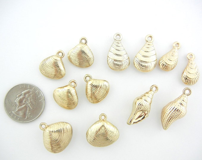 12 Dimensional Variety Seashells in Gold-tone Acrylic