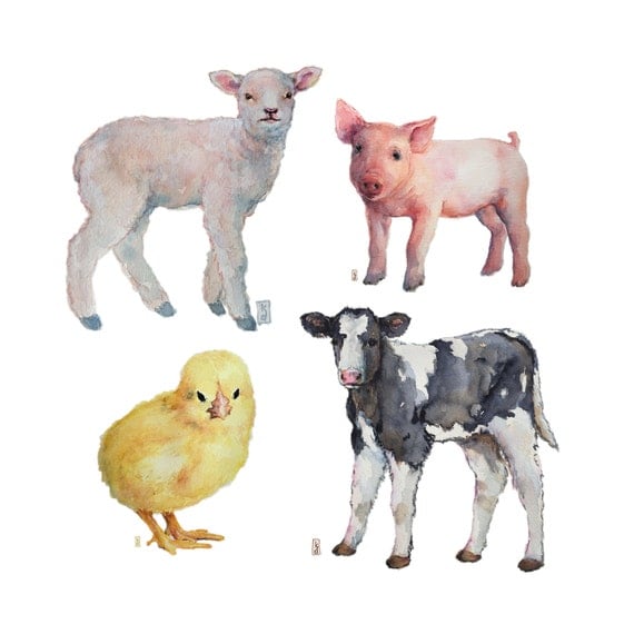 Farm Animal Prints SET OF 4 Lamb Pig Chick Calf