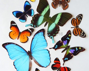 Realistic Paper Butterflies - Cut outs - Set of 10 paper butterfly cut outs - set 1