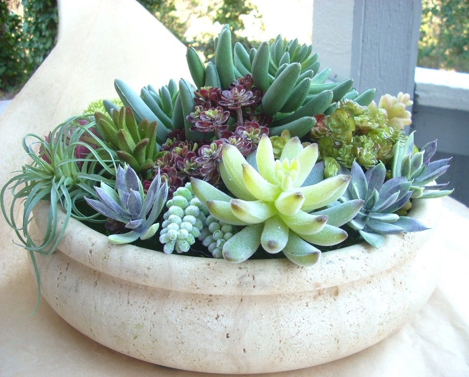 Faux Succulent Indoor Garden Artificial Cactus Garden Modern