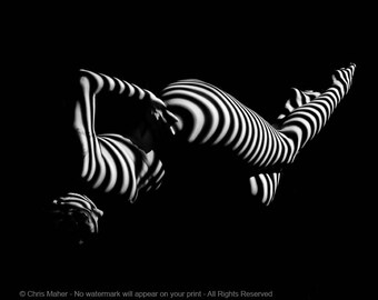 1573 Zebra Woman Stripe Series Art Print by Chris Maher