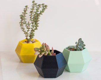 Hexagonal Succulent Planter