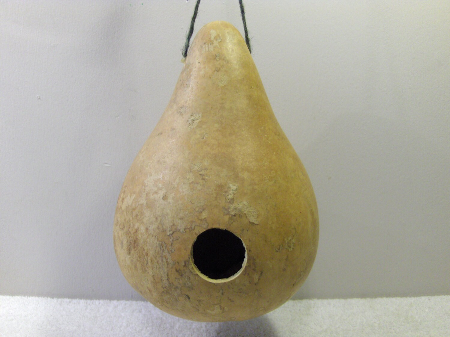Martin Gourd Birdhouse 1 1/2 Entrance Hole....GBH4