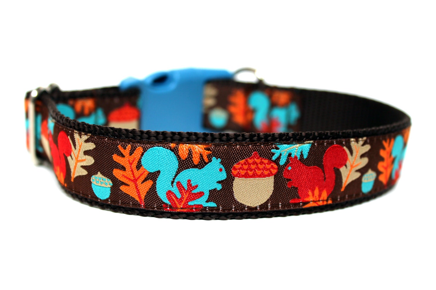 Squirrel Dog Collar 1 Fall Dog Collar