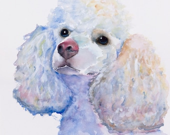 poodle watercolor painting, poodle print, white poodle painting, white poodle print, white poodle canvas, white minature poodle, poodle art,