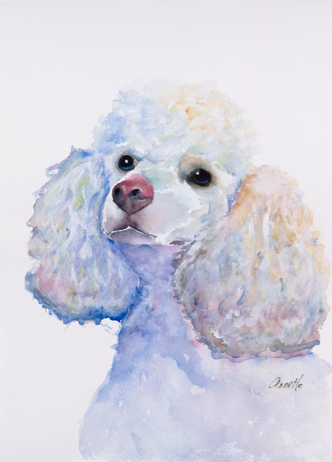 poodle watercolor painting poodle print white poodle