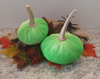 Lime Green Velvet Pumpkins with real stems