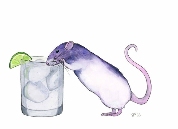 Download Gin and Tonic Poster Liquor Art Print Cocktail Art Print