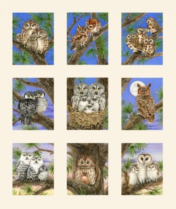 Owl Families Panels Cotton Quilting Fabric Elizabeth's