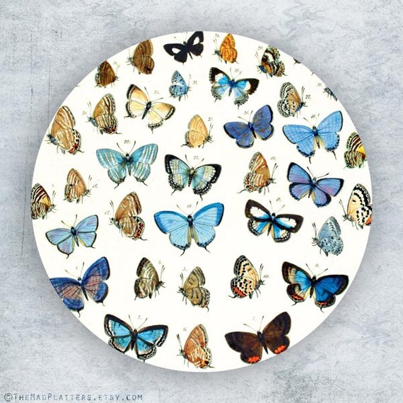 Butterflies II melamine plate