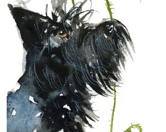 Scottie Dog Art Print Scottish Terrier 'Poppies' #28