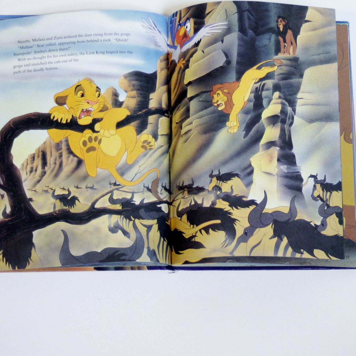 Disney's The Lion King Disney Book Children's Book