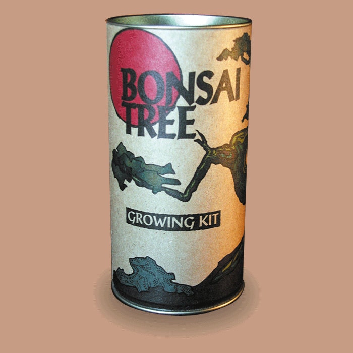 seed germination kit bonsai edition seed germination kit bonsai edition