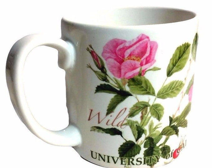 Large Coffee Mug With Wild Roses, Ceramic Coffee Cup, Large Mug, Floral Mug, Gift For Her, Gift For Mom