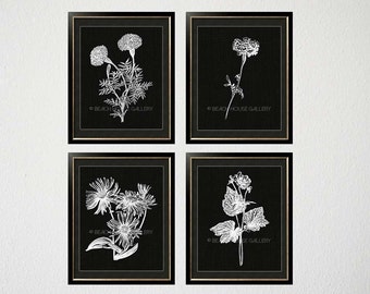 Black and white floral prints | Etsy