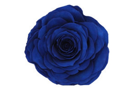 Real Blue Roses Preserved Blue Roses Preserved Natural