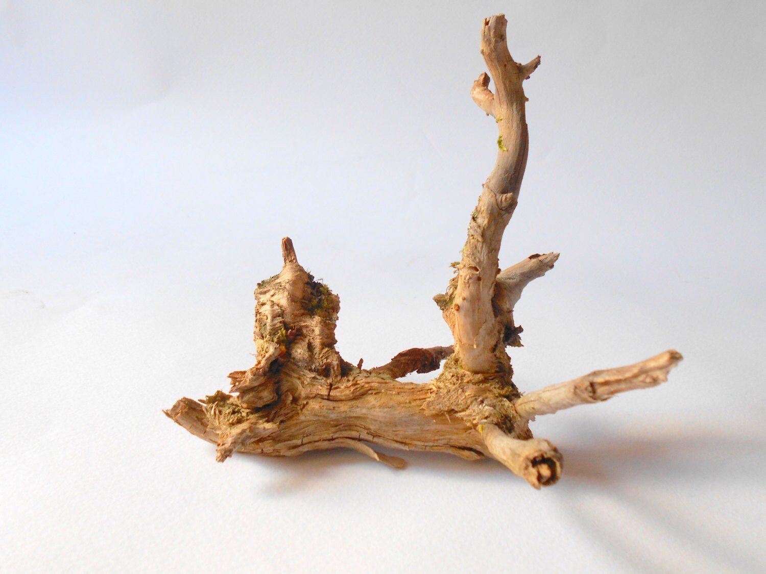 Unique Driftwood branch rustic wood decor wood supply beach