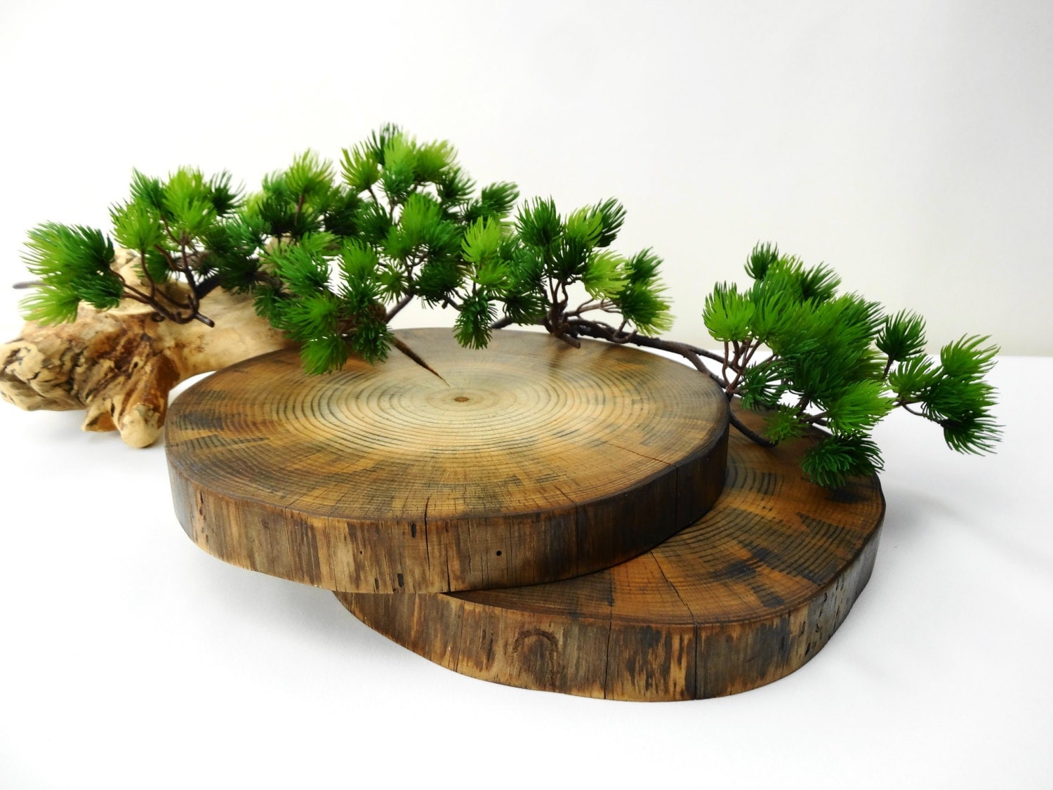 Wood Slices 9 inch Wood Slices Tree Slice Tree Trunk Slice