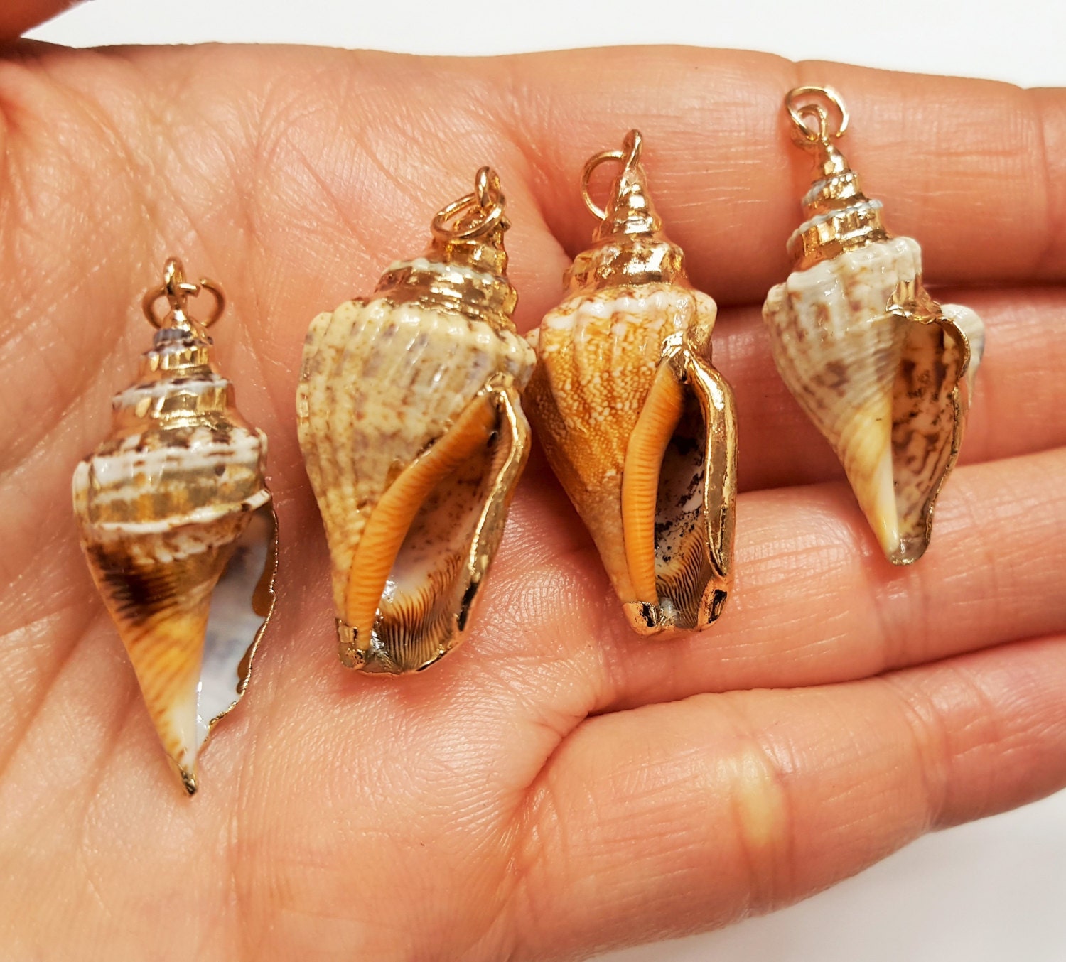 Small Gold electroplated Conch Sea Shell Necklace Pendant