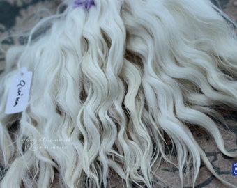 10" "QUINN" creamy white curls all natural washed and combed Suri alpaca locks ideal for dolls hair, BJD wig, Blythe reroot, reborn, artdoll