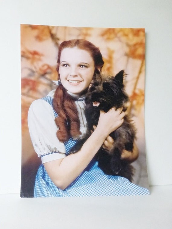 Judy Garland and Toto Color Photo Image/Poster The Wizard of