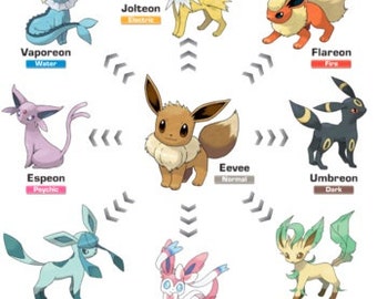 Pokemon Eevee & Eeveelution tail and ears acessories