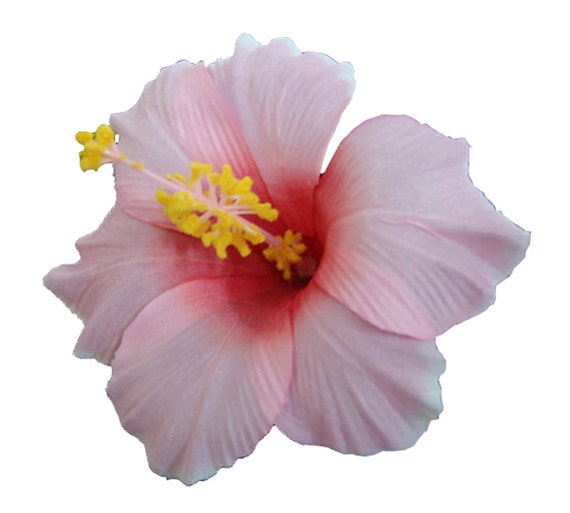 plastic hibiscus flower